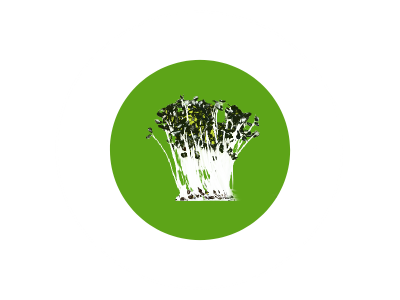 Chemong City Greens