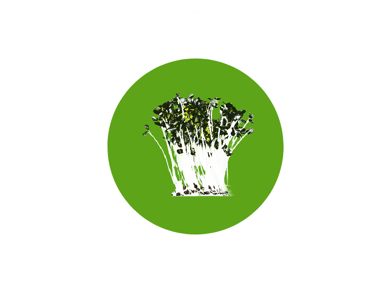 Chemong City Greens